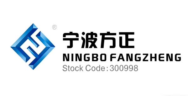 NINGBO FANGZHENG AUTOMOBIVE MOULD　ロゴ