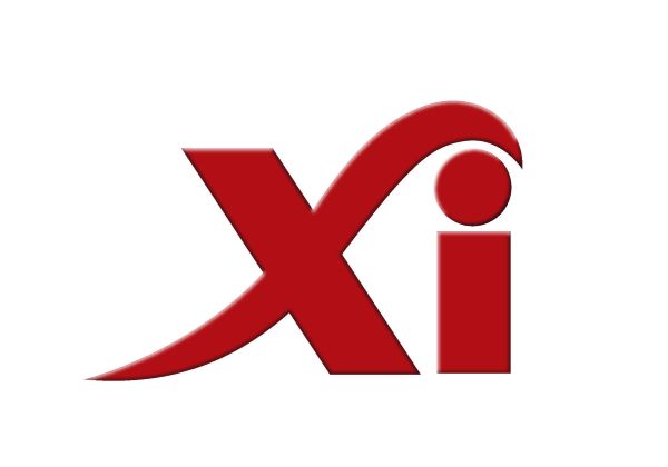 XIANG IN ENTERPRISE